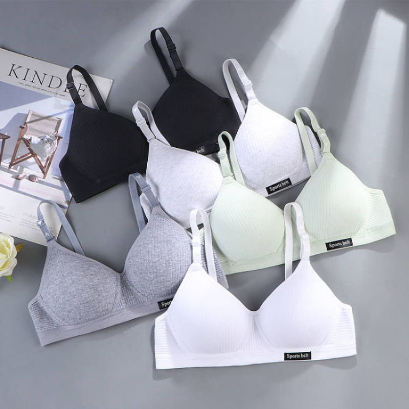 Women Cotton Underwear AB Cup  - Cotton Bra Everyday review and price