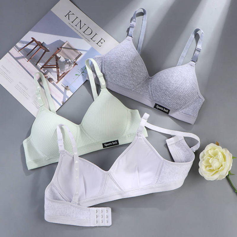 Women Cotton Underwear AB Cup  - Cotton Bra Everyday review and price