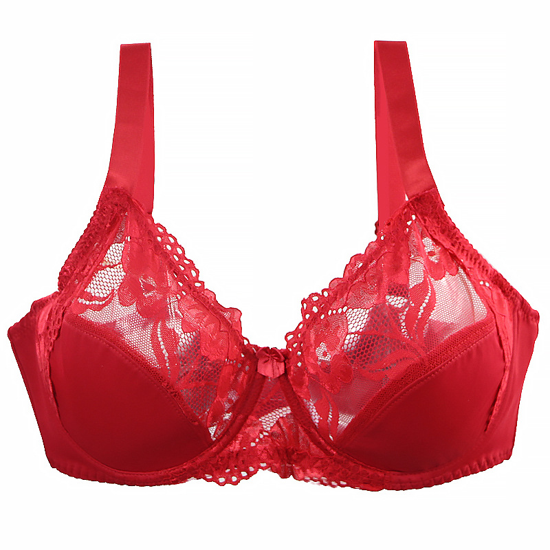 Minimizer Plus Size Underwire  - Full Coverage Bra review and price